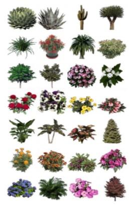 Planting Library Preview