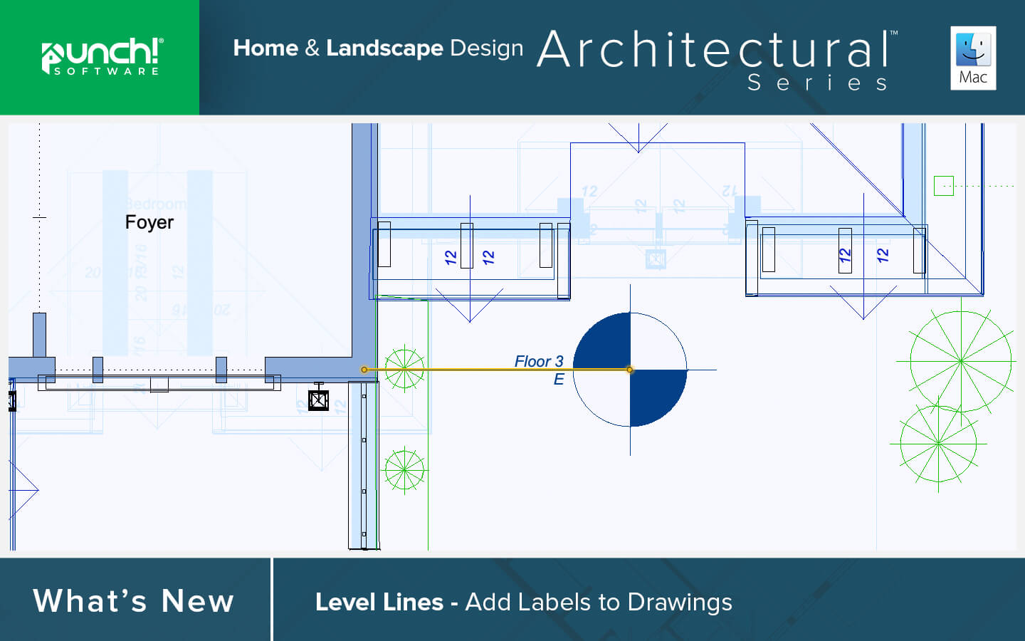 Level Lines